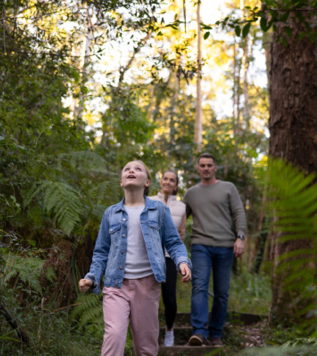 wahroonga-30
