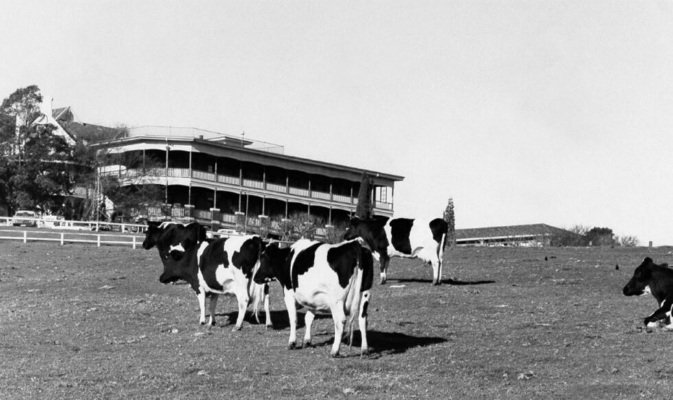 Capital_Corporation_Wahroonga_Estate_Historical_San_02_1239x737